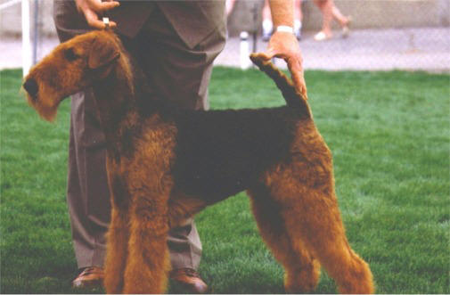 **Please Describe this Image